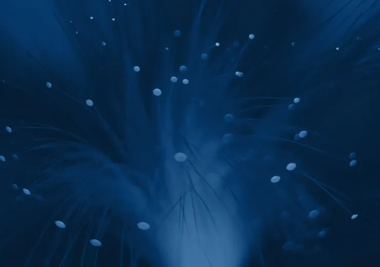 NZS GLOBAL GROWTH TRUST